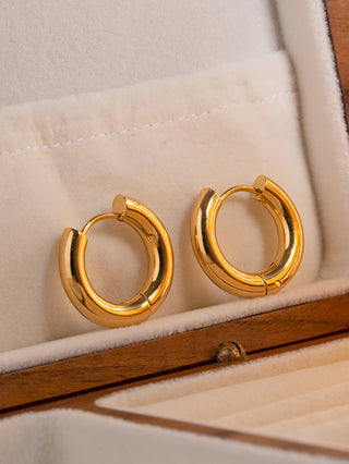 Golden Aura Hoops